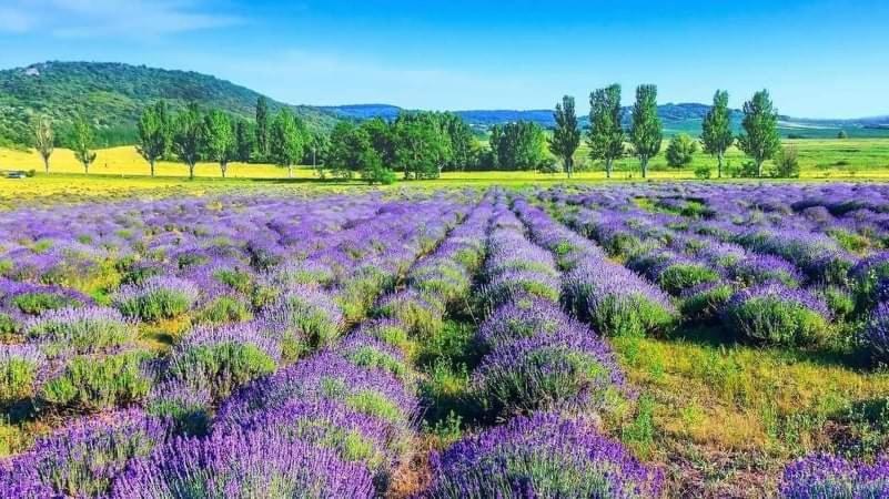 Legkondicionalt, Erkelyes Szoba, Privat Fuerdovel A Balatonon Koroshegy Exterior photo
